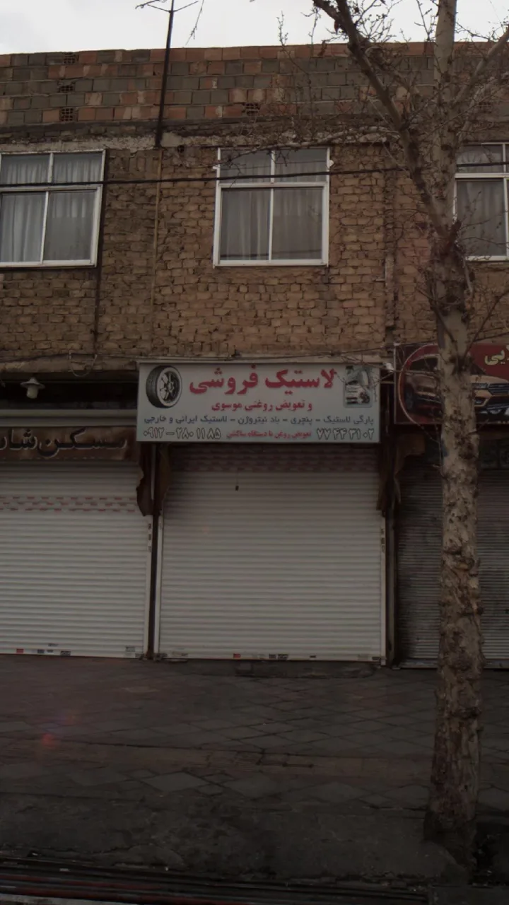 لاستیک فروشی - تصویر 3