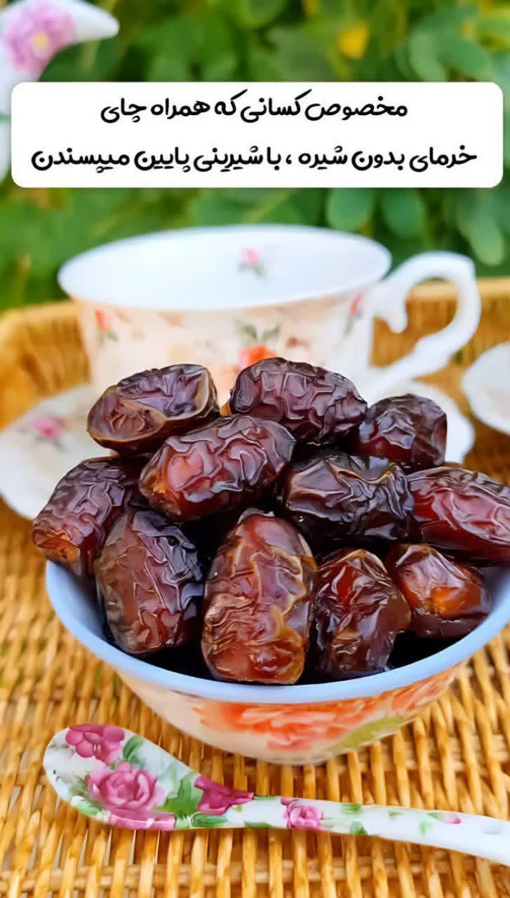 فروش خرما و رطب محمودی - تصویر 3