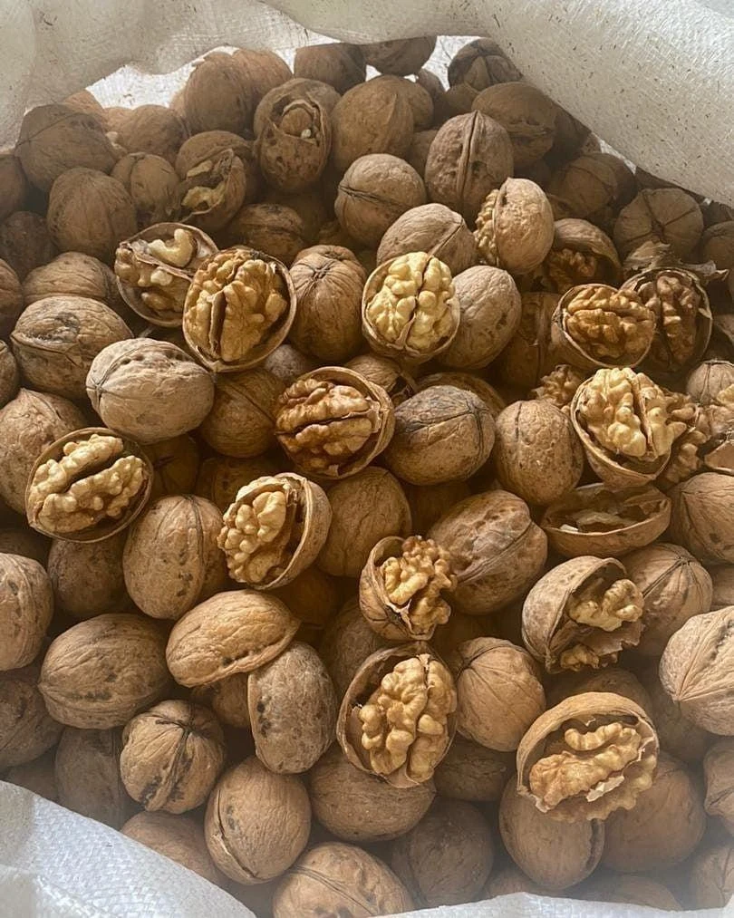 اجیل خشکبار غلامی - تصویر 2