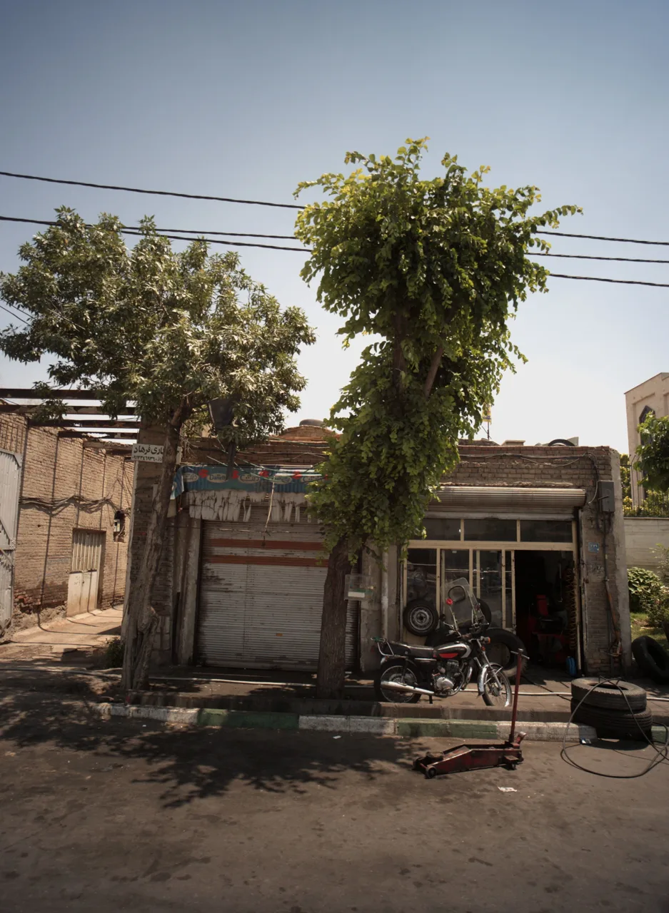 خدمات لاستیک