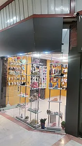 سیسمونی ام دی اف کاج