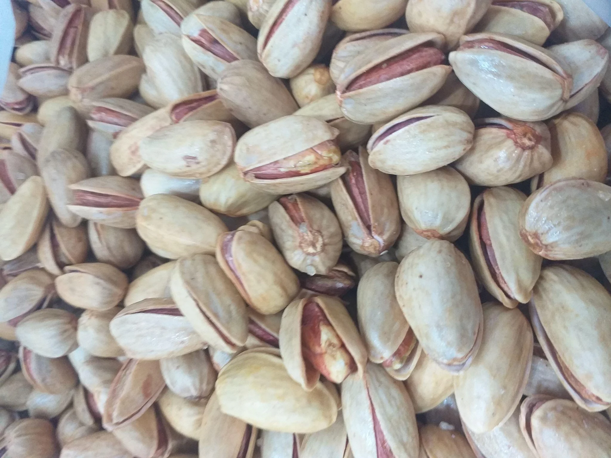 اجیل خشکبار شادی - تصویر 2