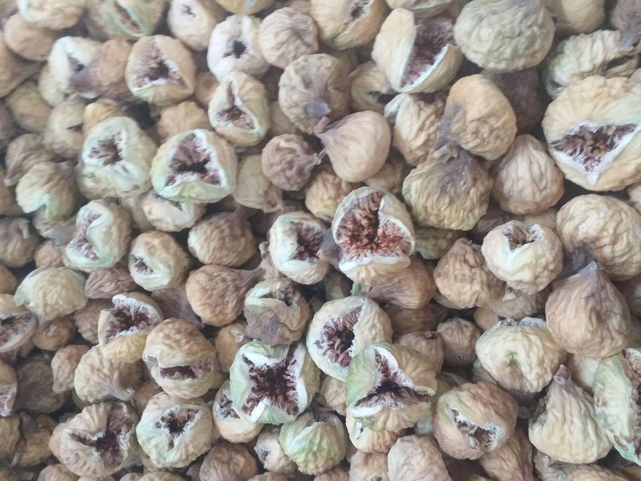اجیل خشکبار شادی - تصویر 5