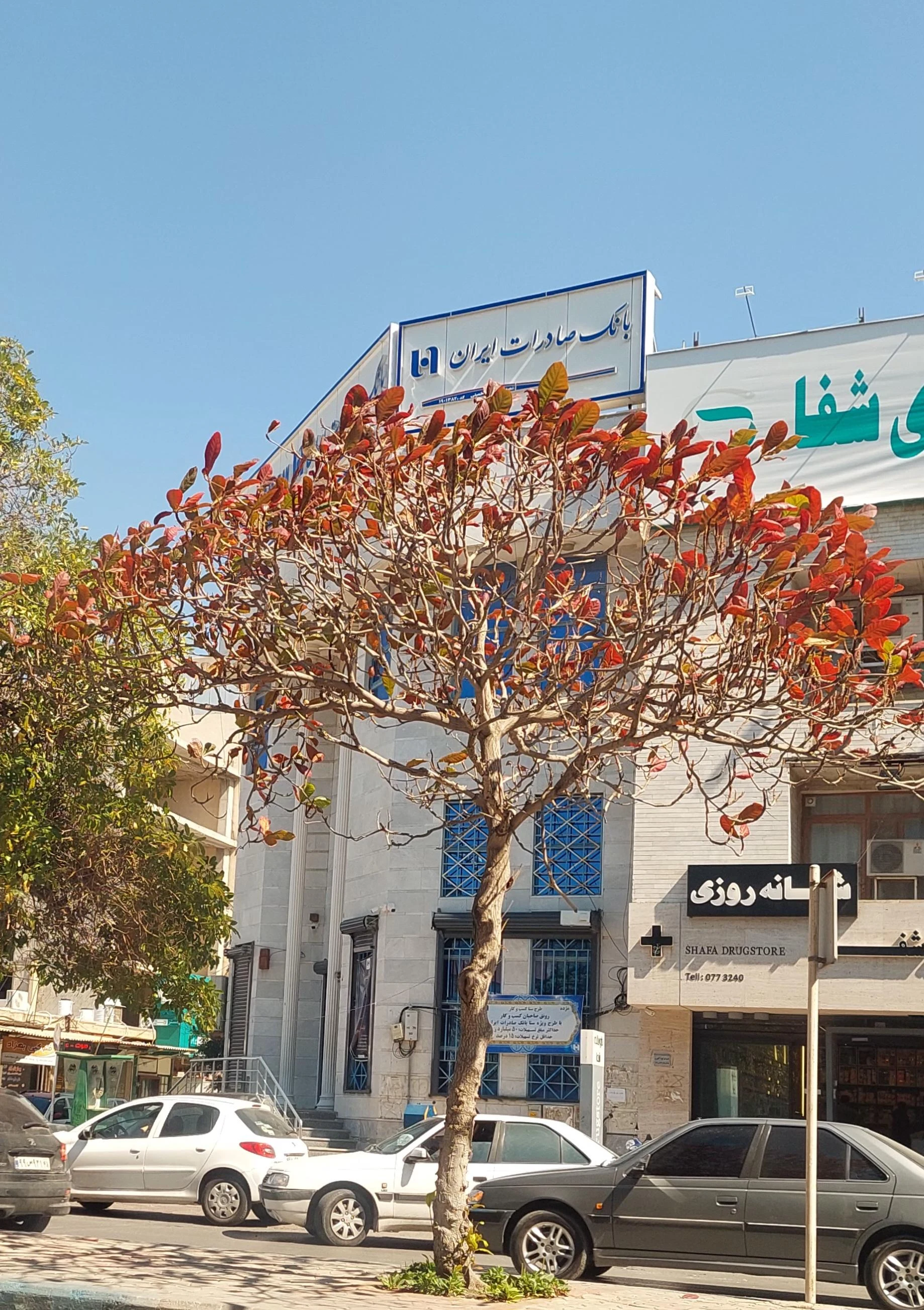 بانک صادرات ایران