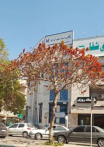 بانک صادرات ایران