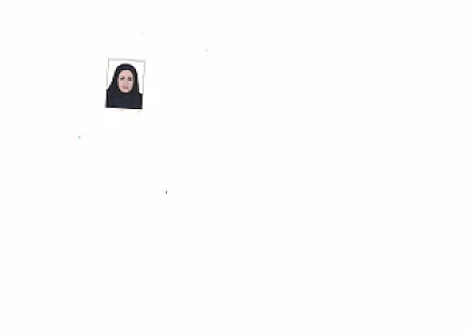 وکیل لاله شورکی