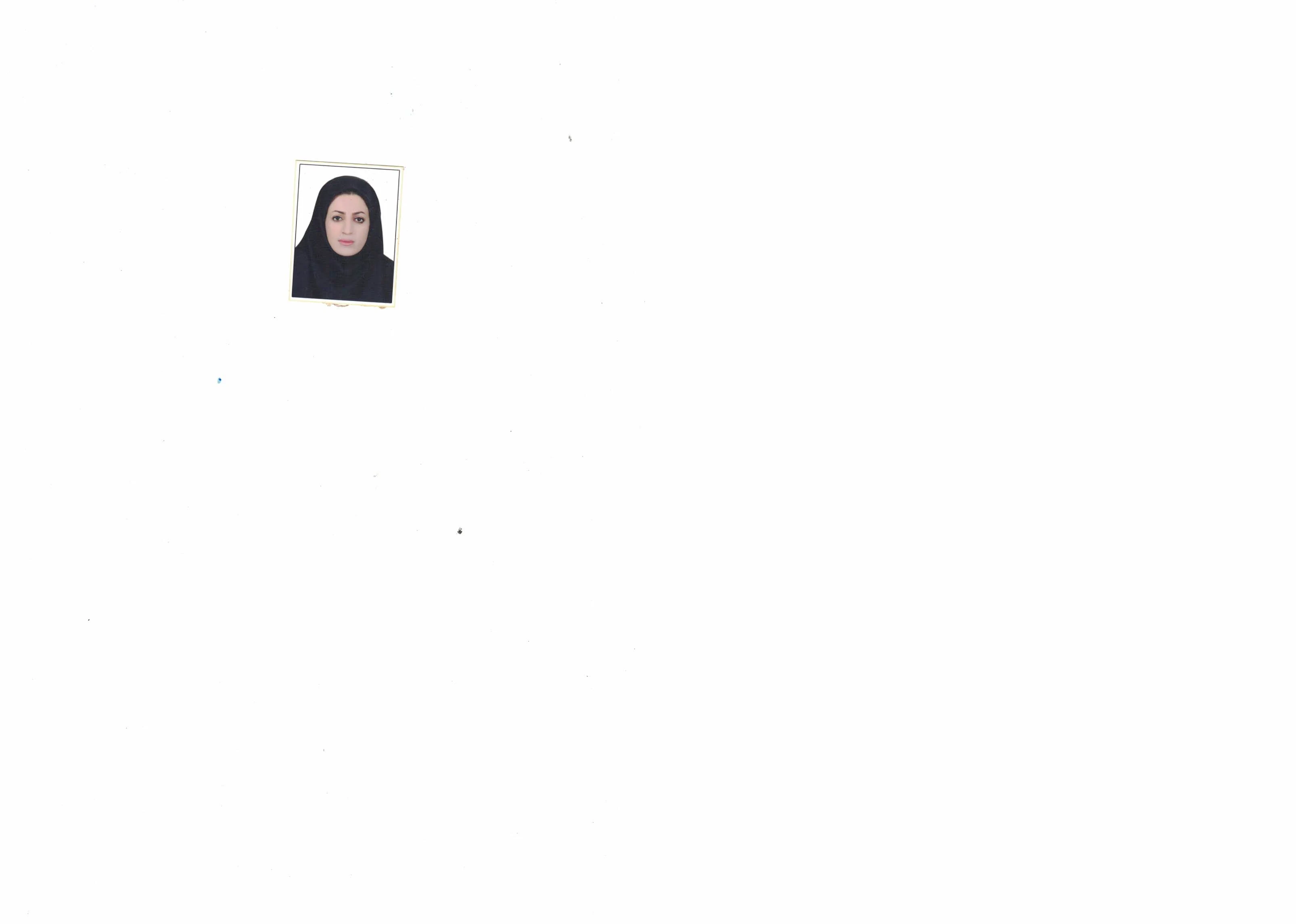 وکیل لاله شورکی