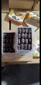 فروش محصول خرما و مشتقات
