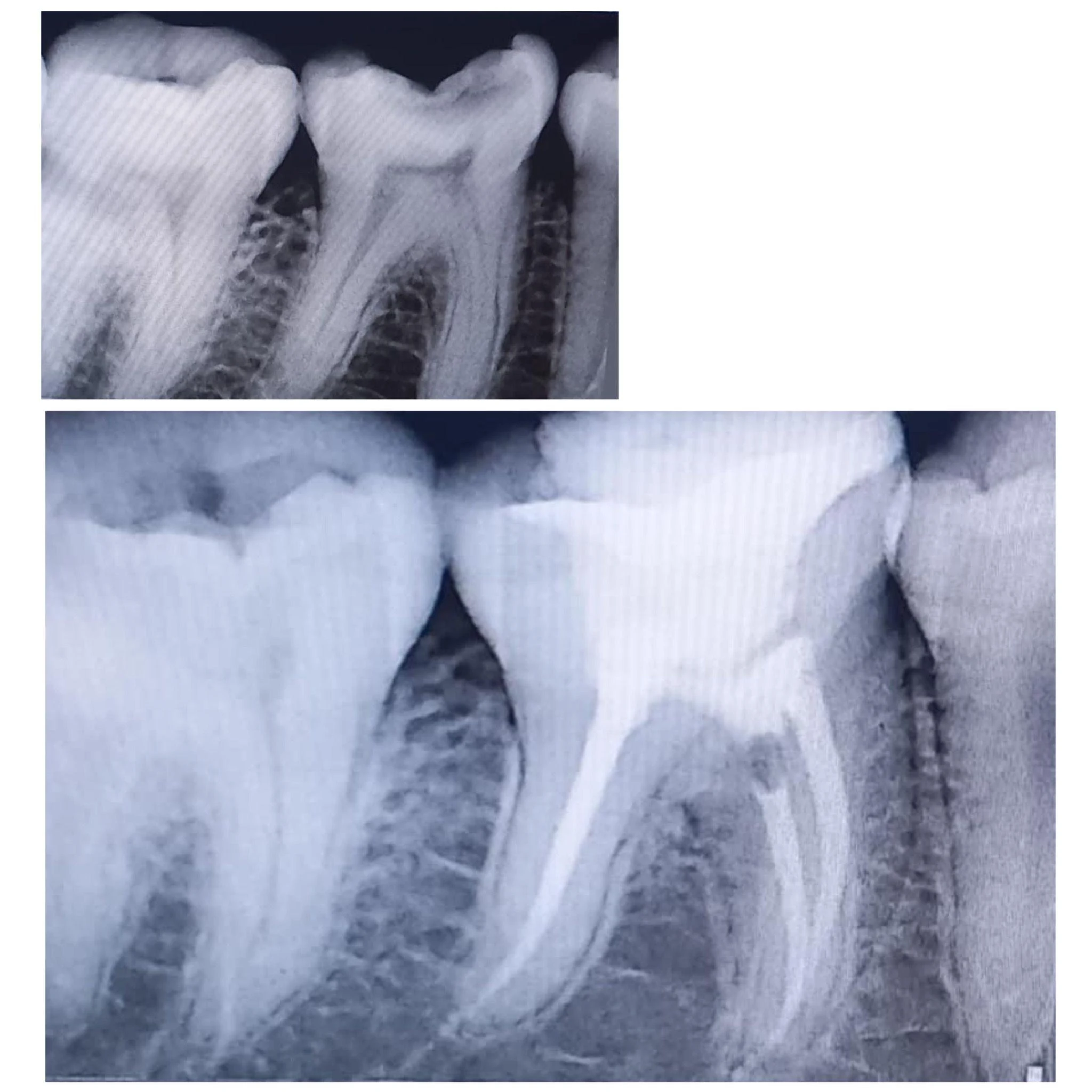 مطب دندانپزشکی قادری