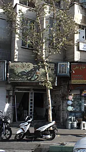 کراس موتور