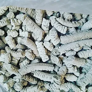 سعید بابادی زاده