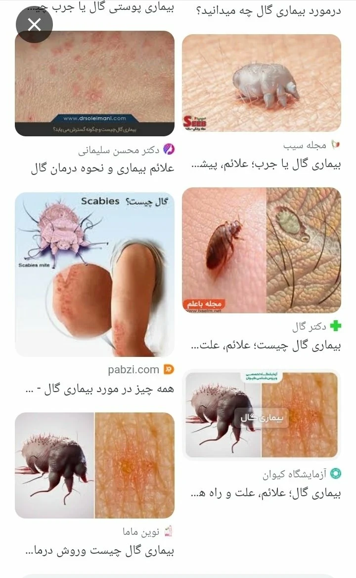 سعید بابادی زاده - تصویر 2