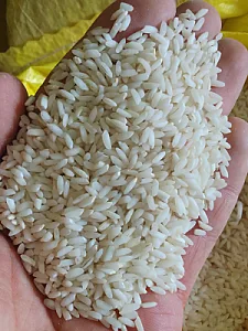 الیما تجارت