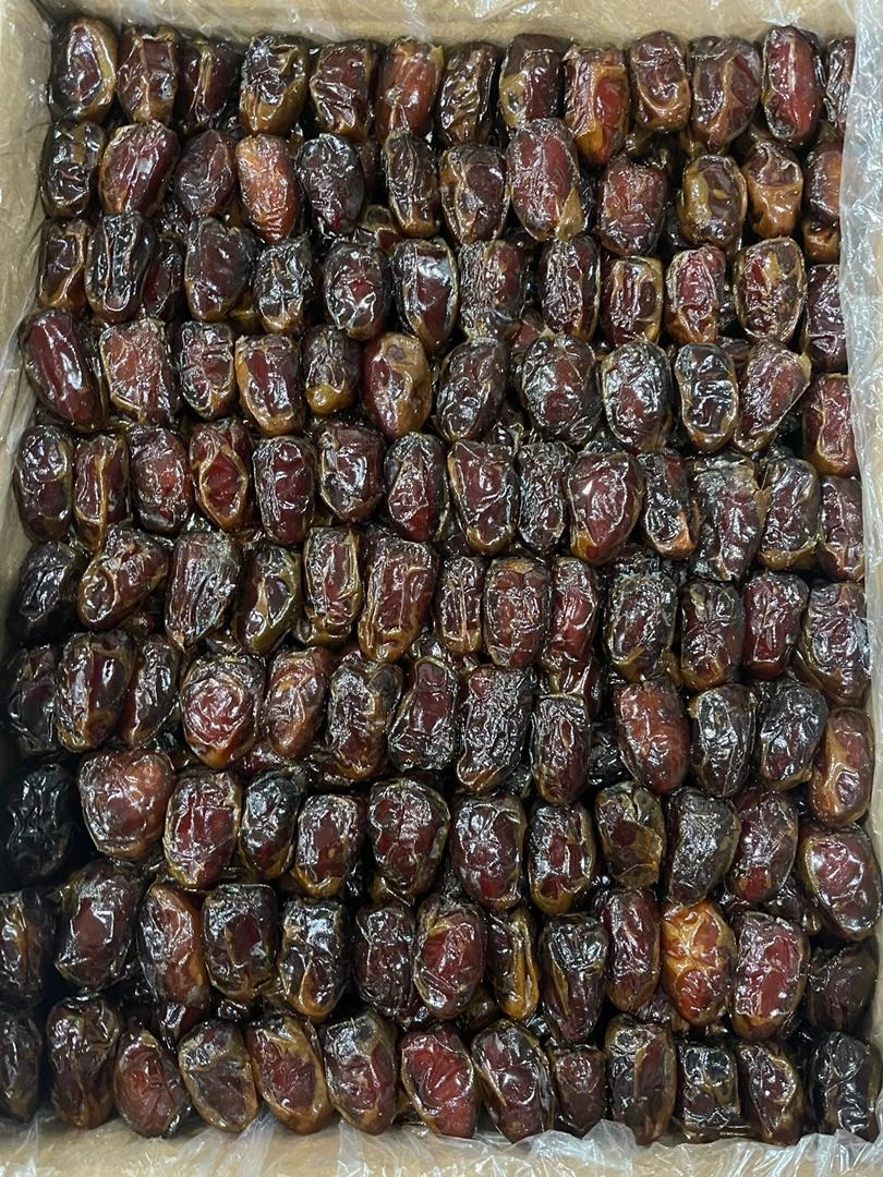 الیما تجارت - تصویر 2