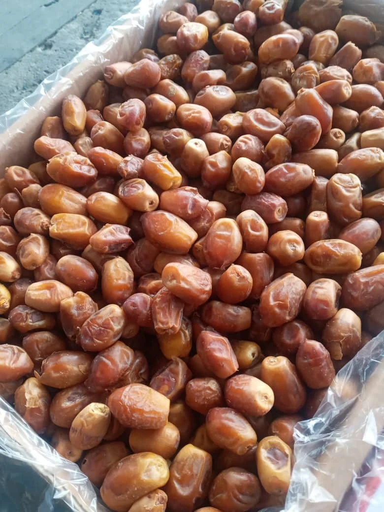 الیما تجارت - تصویر 4