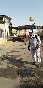 سمپاشی پاک مهر نصف جهان فولاد شهر با مجوز وزارت بهداشت