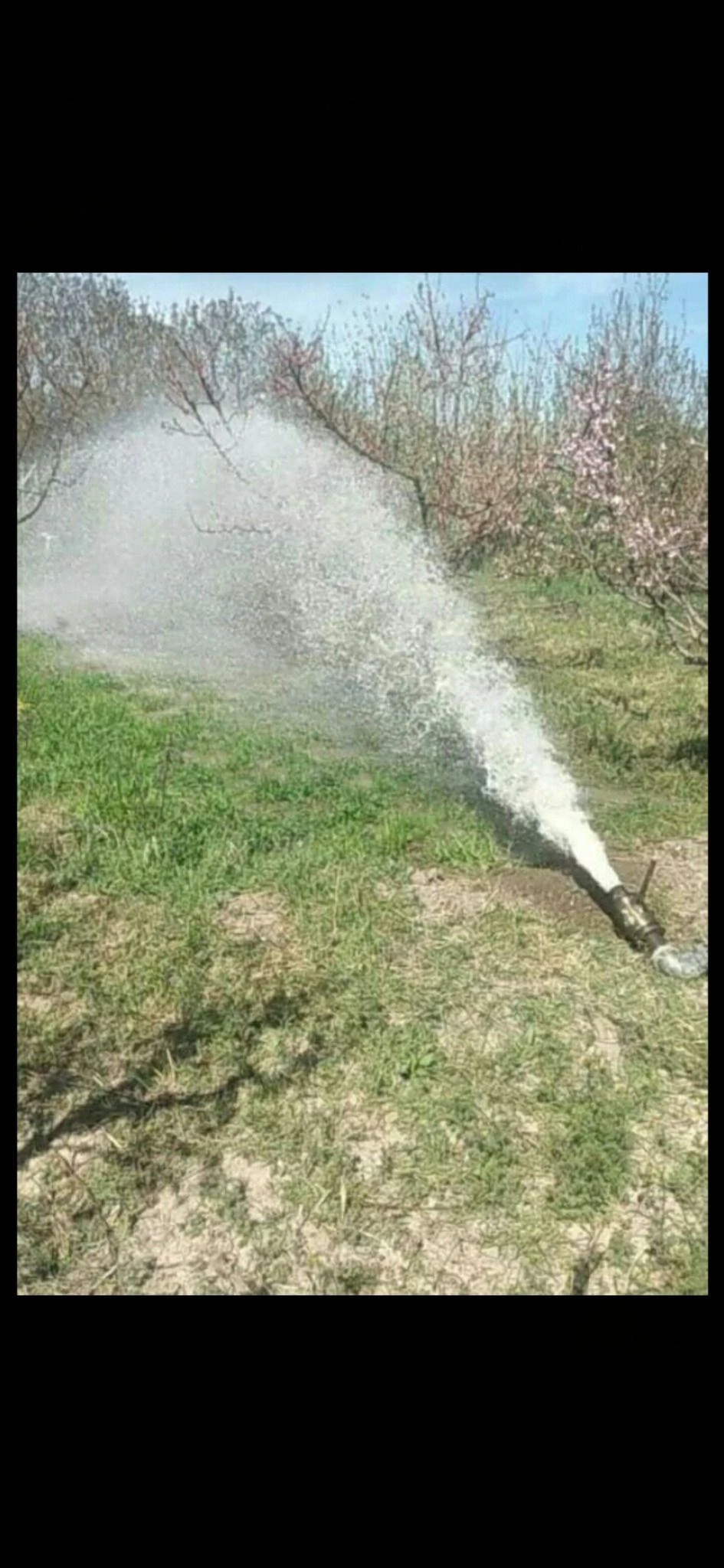 کارشناس آب