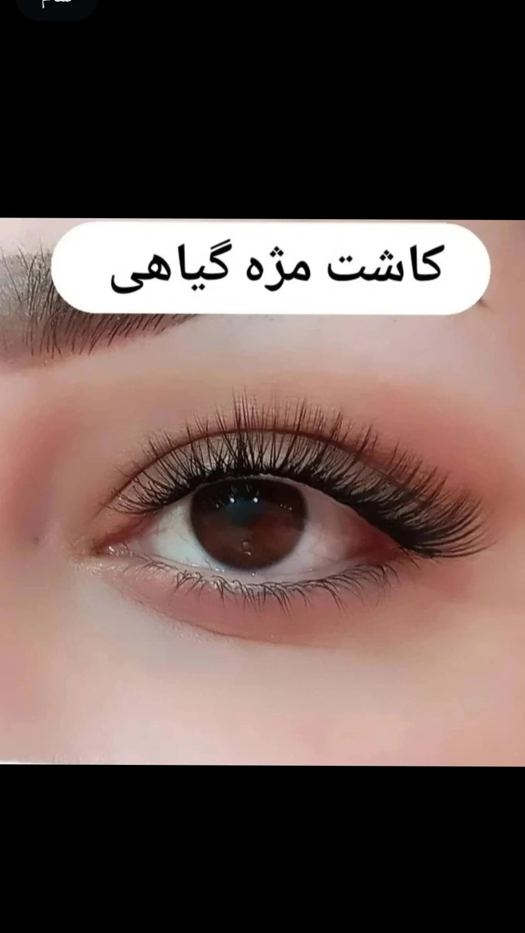 آموزشگاه و سالن زیبای رزگلد - تصویر 4