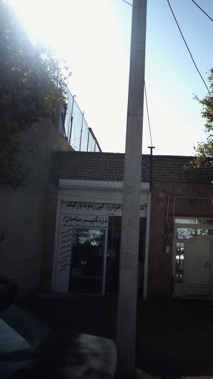 دزدگیر سازمان