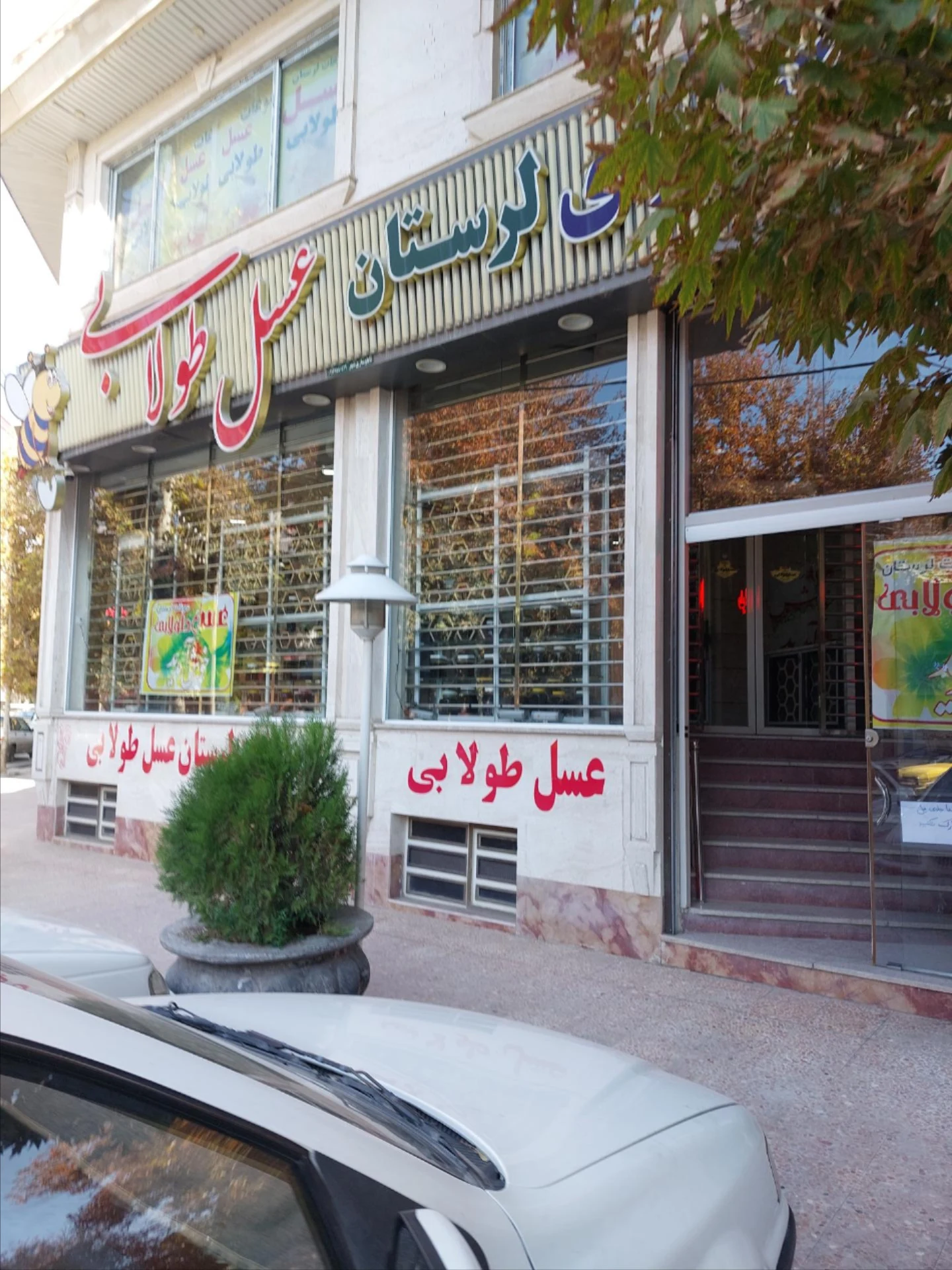 عسل اکسیر