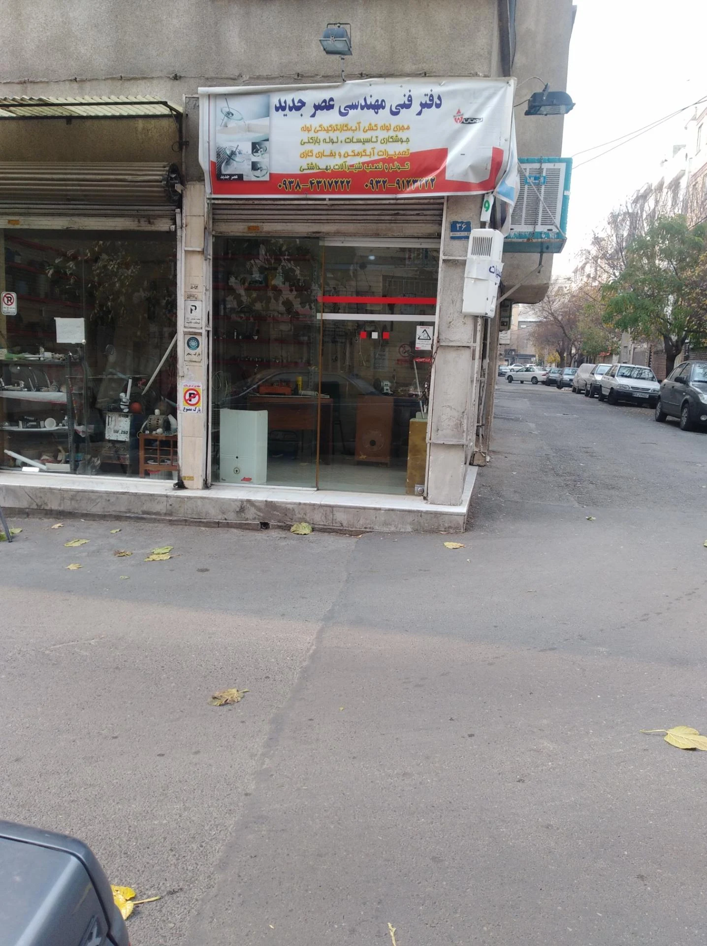 تودوزی علی (رضا)