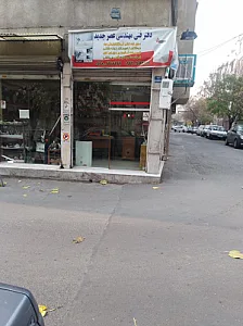 تودوزی علی (رضا)