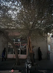 هوندا یدک
