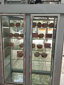 دهکده پروتئین بازارچه