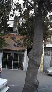 عمران راه گارانتی