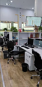 جوزی کالا