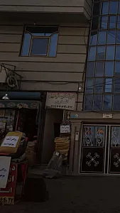 دوزندگی اتومبیل اناری