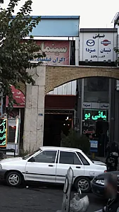 ضیائی