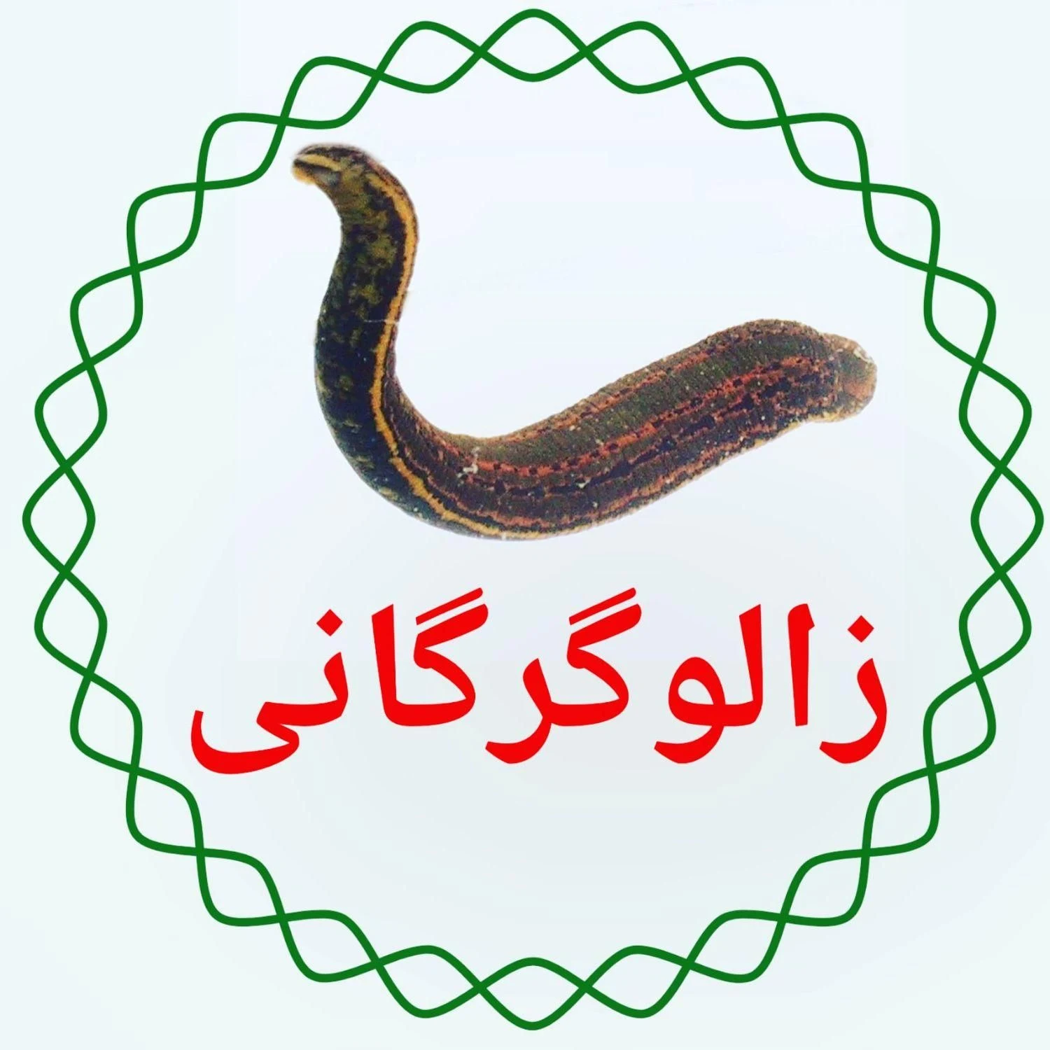 عطاری فندق
