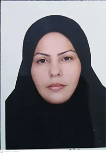 وکیل مکرم‌ اربابی‌