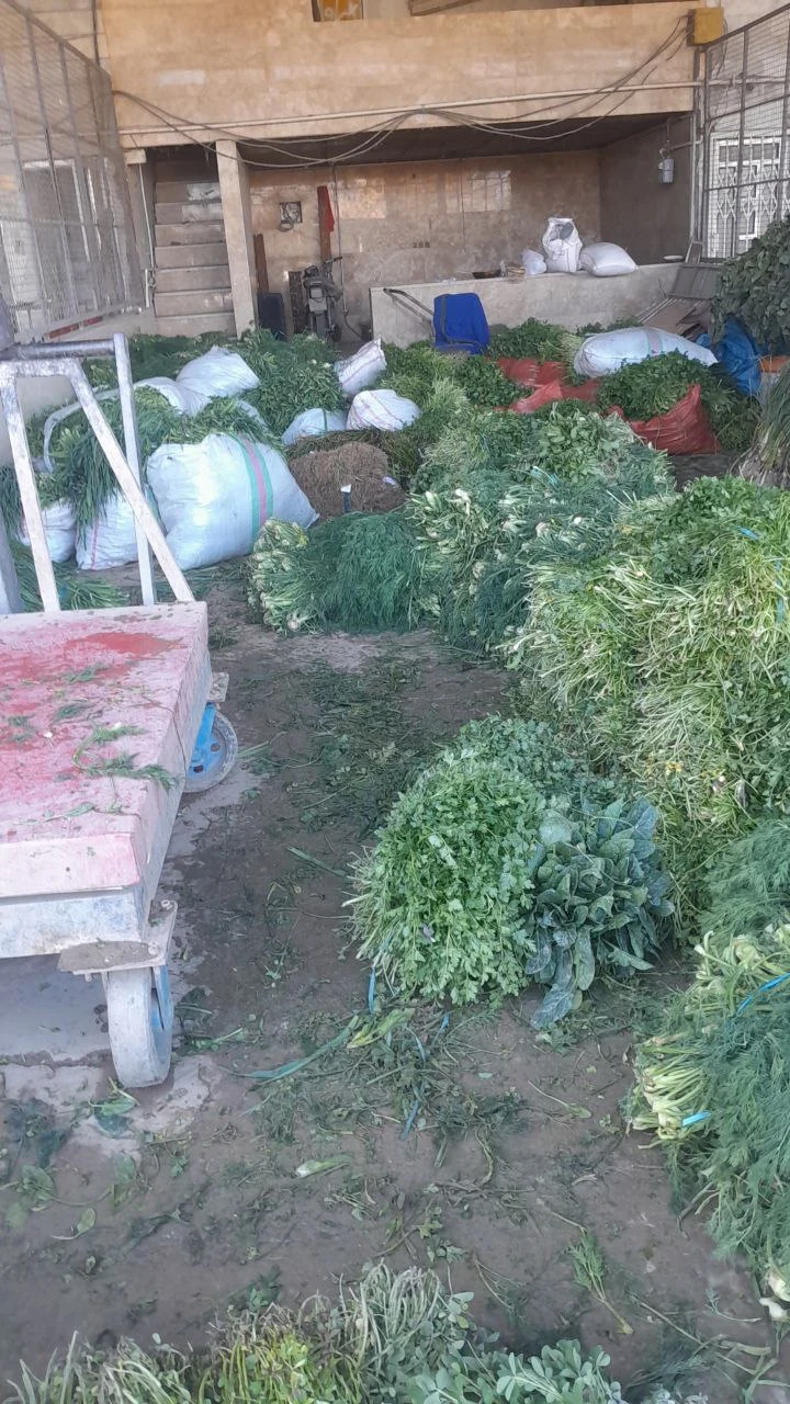 سبزی فروشی مهدی آذرنگان