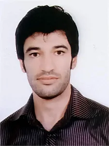 وکیل حسین ملک