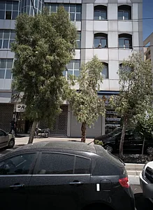 راه دشت