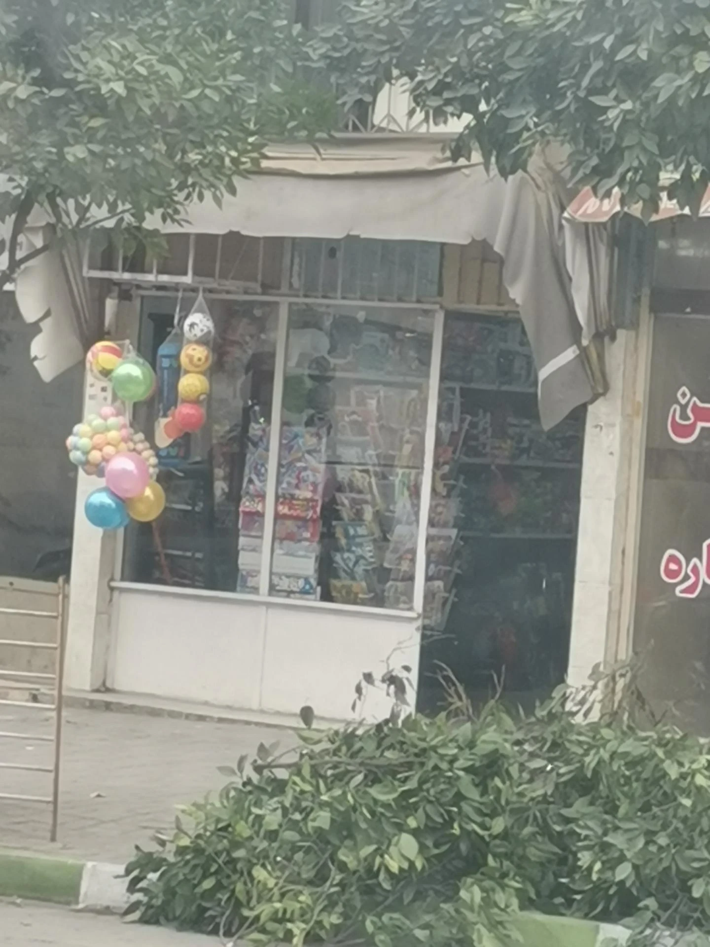 دنیای بادی (سید) - تصویر 2