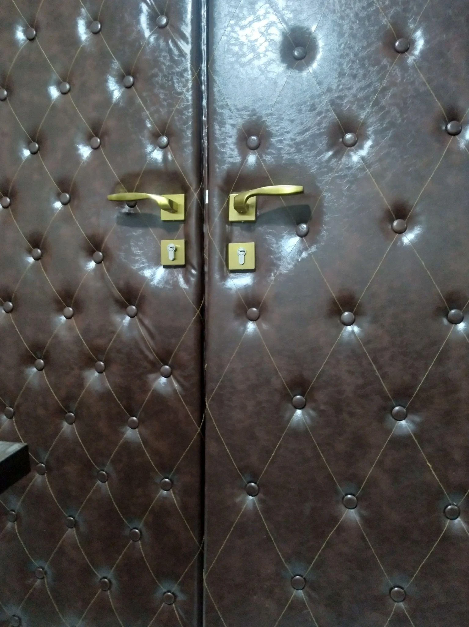 درب چرمی گرگان - تصویر 3