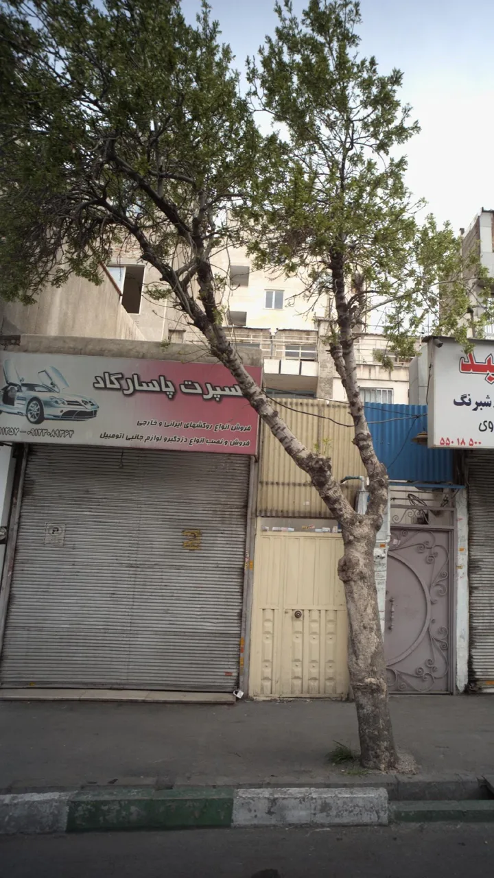 اسپرت پاسارگاد - تصویر 2