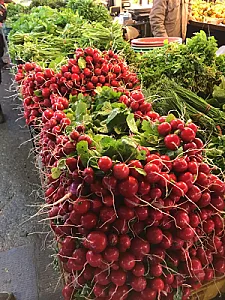 سبزی فروشی مهدی عرب