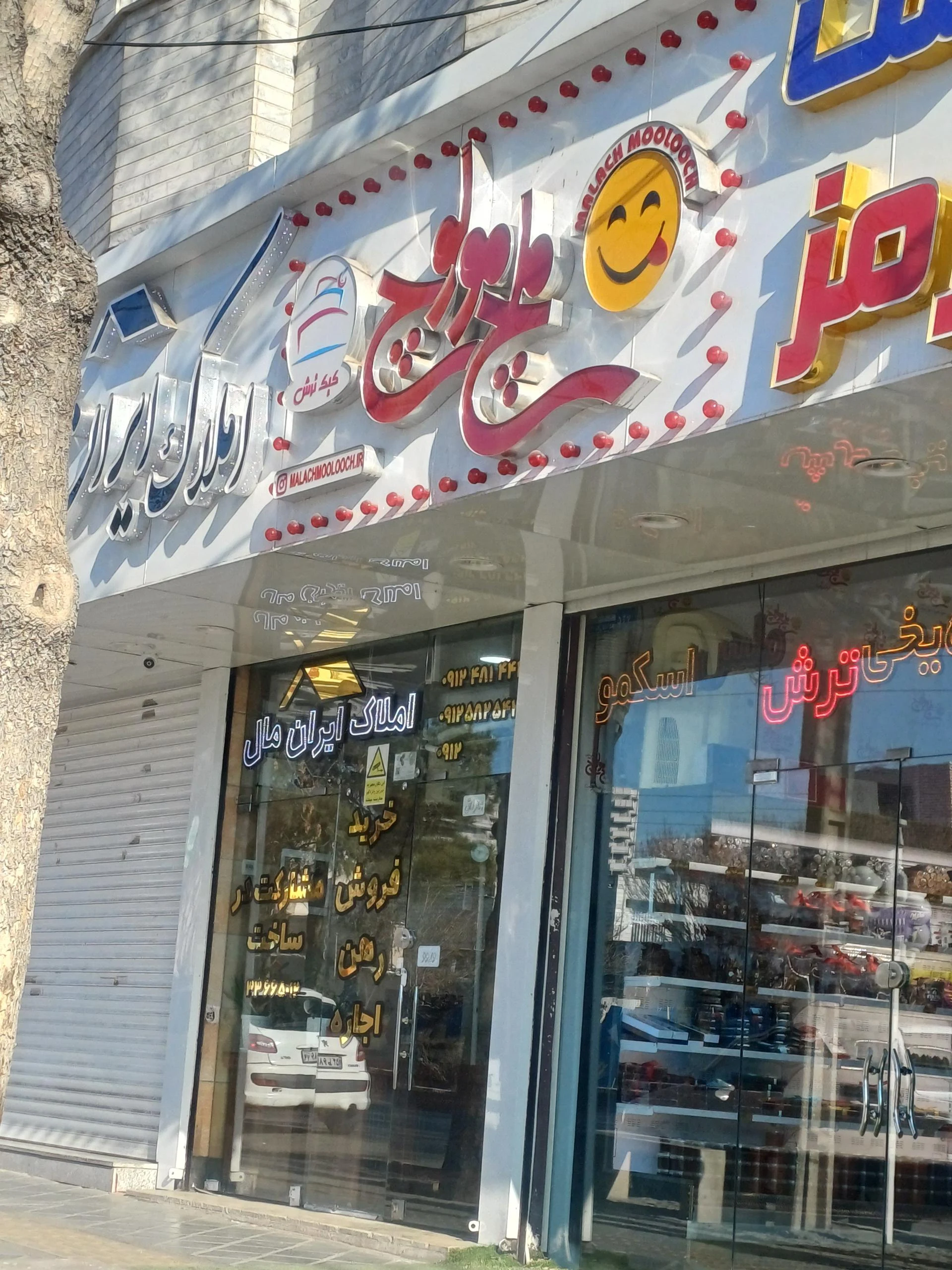 آبمیوه شانی - تصویر 2