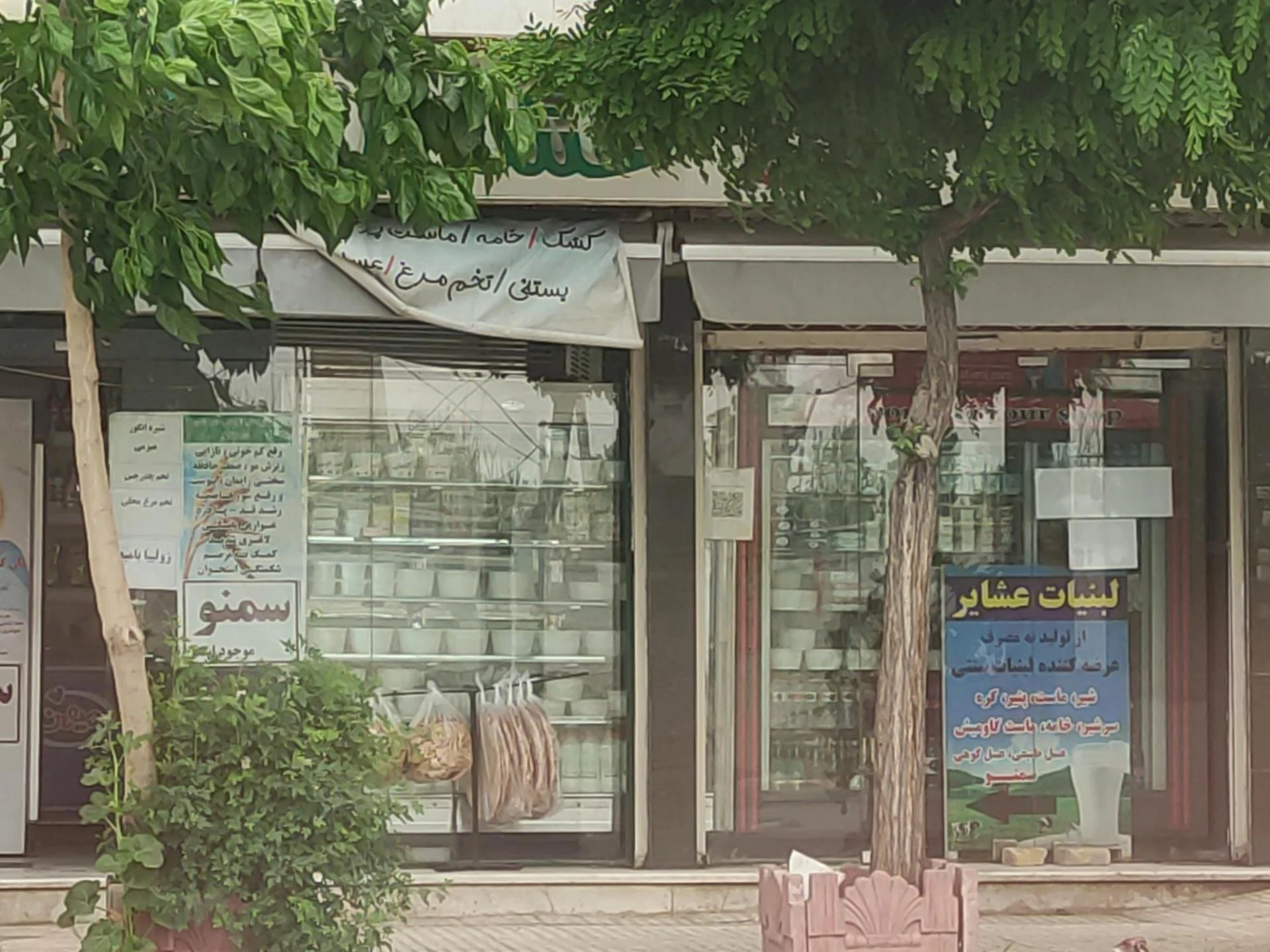 لبنیات مومنی - تصویر 2