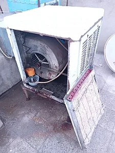 سیده فاطمه غدیری