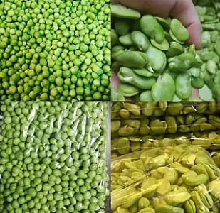 سبزیجات سیر تا پیاز