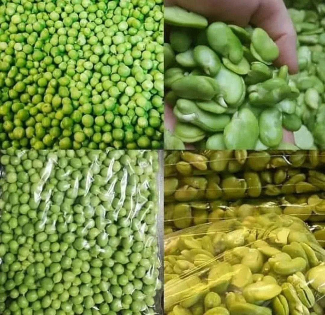 سبزیجات سیر تا پیاز