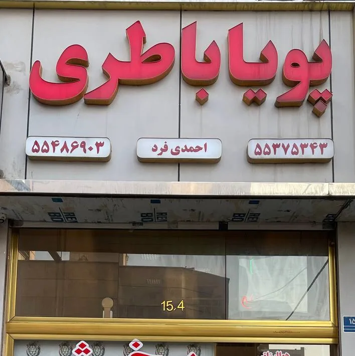 پویا باطری - تصویر 2