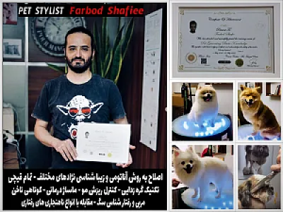اصلاح سگ گربه استان قزوین