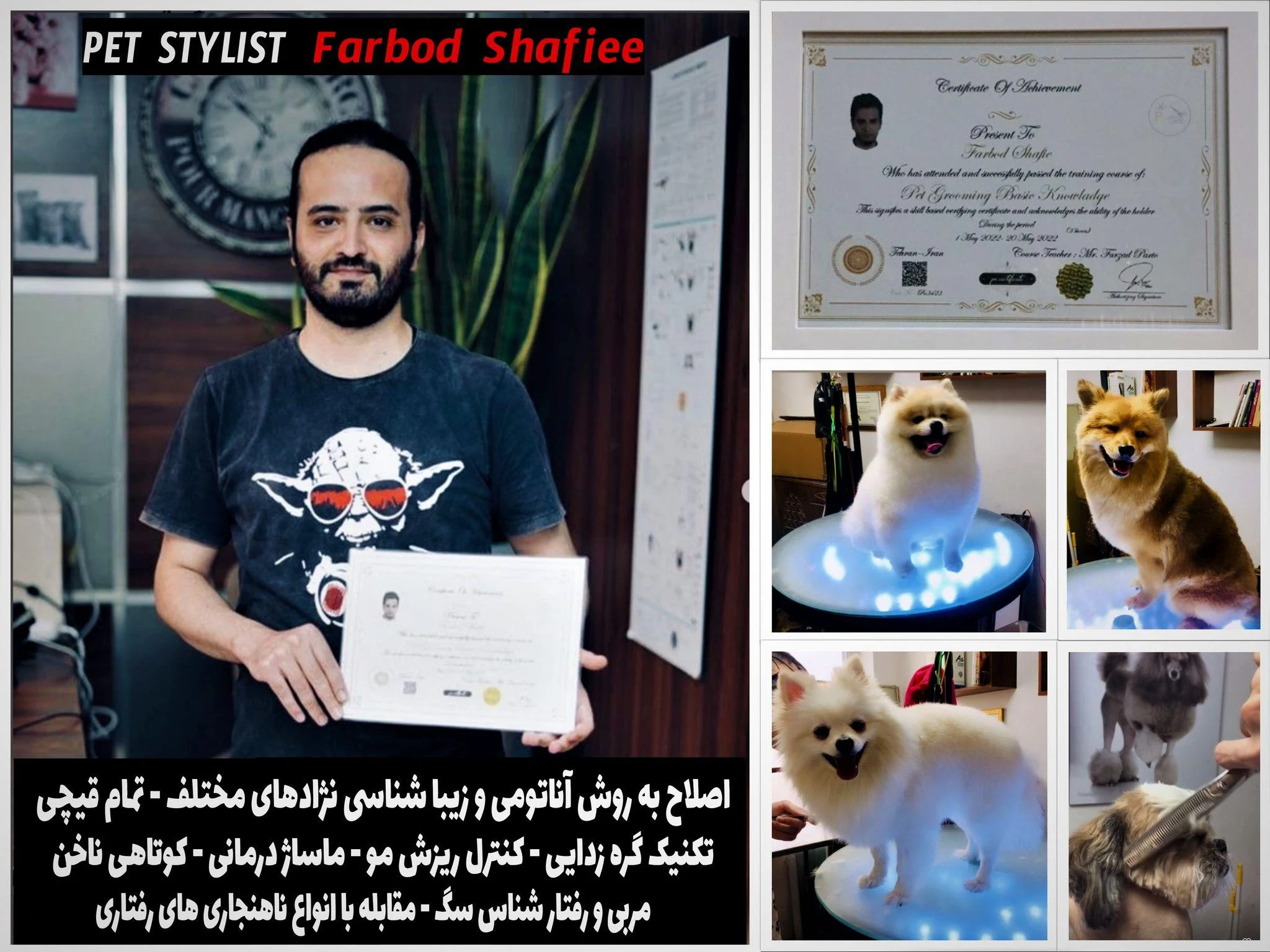 اصلاح سگ گربه استان قزوین