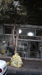 نانوایی سنگک سنتی تک